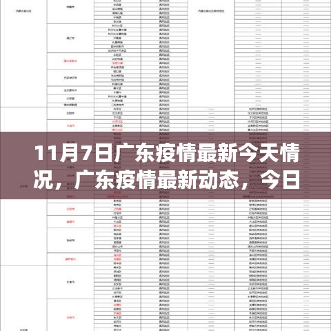 广东疫情最新动态深度观察，11月7日深度分析与影响