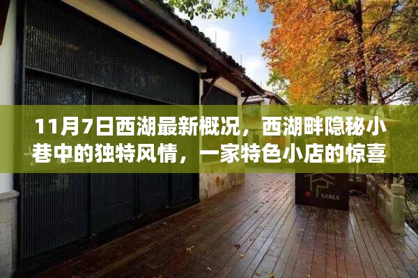 探寻西湖畔隐秘小巷，11月最新概况与特色小店风情