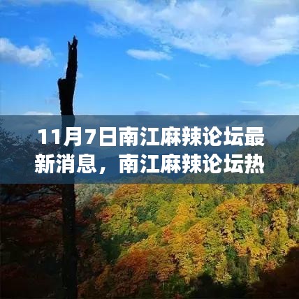 南江麻辣论坛启程探寻自然秘境心灵之旅最新热议消息