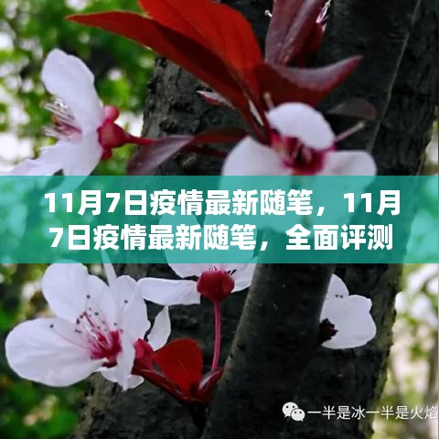 11月7日疫情最新随笔，全面评测与深度介绍