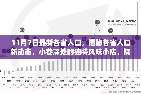 揭秘最新各省人口动态，探寻小巷深处的独特风味小店，魅力之旅启程