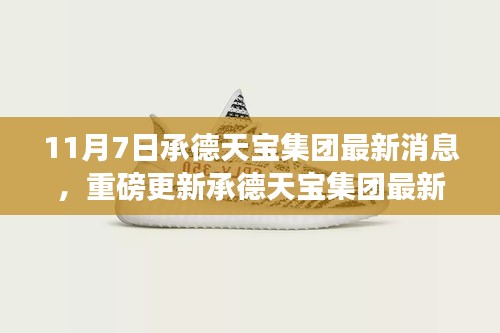 承德天宝集团最新动态揭秘，震撼消息全解析（11月7日更新）