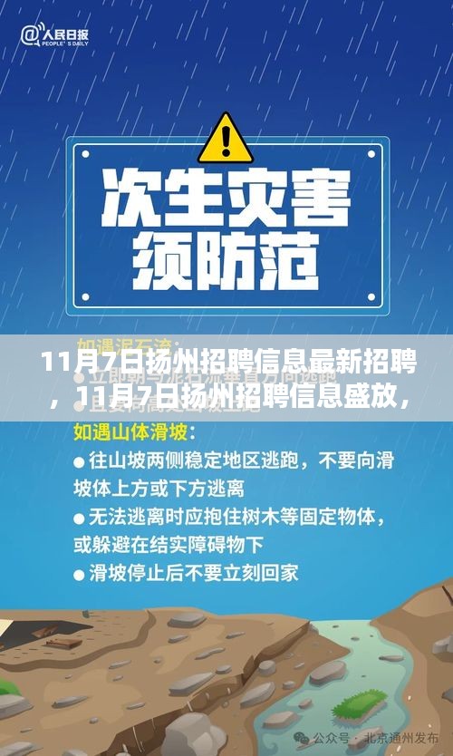 11月7日扬州最新招聘信息，新机遇引领时代风潮