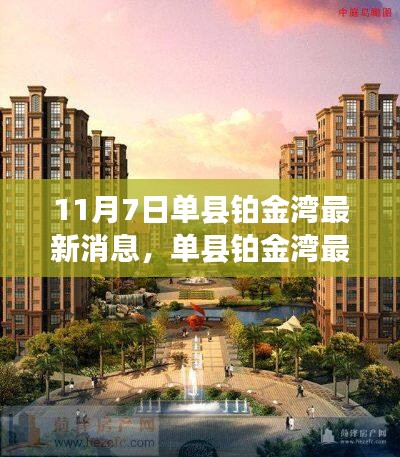 聚焦单县铂金湾，最新动态与要闻尽在11月7日