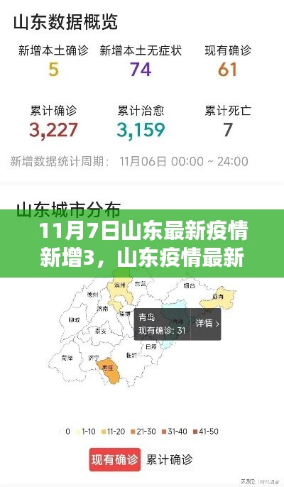 山东新增病例详解，最新疫情动态及新增病例数据发布（11月7日）