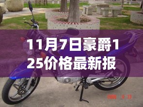 揭秘豪爵摩托车市场风云，最新豪爵125报价及市场动态分析（11月7日）