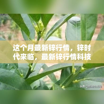 橘虞初梦 第10页