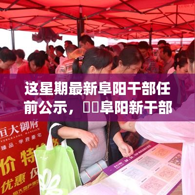 阜阳新任干部公示启动，启程寻找内心绿洲的自然之旅