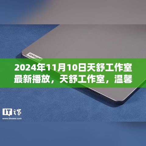 天舒工作室温馨播放日，欢乐时光回顾，最新内容预告（2024年11月10日）