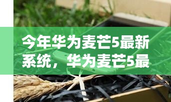 华为麦芒5最新系统深度解析与体验