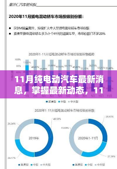 11月纯电动汽车消息汇总，最新动态与指南，适合初学者与进阶用户参考