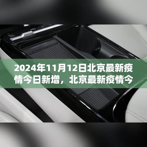 北京最新疫情应对指南，逐步了解如何安全应对疫情（截至2024年11月12日）