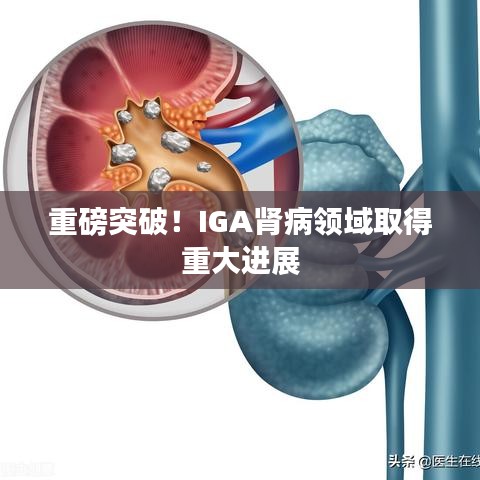 重磅突破！IGA肾病领域取得重大进展