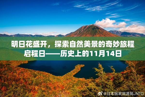 明日花盛开，探索自然美景的奇妙旅程启程日——历史上的11月14日