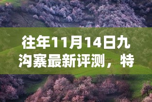 往年11月14日九沟寨最新评测，特性、体验、竞品对比及用户群体深度分析