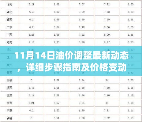 11月14日油价调整最新动态，详细步骤指南及价格变动