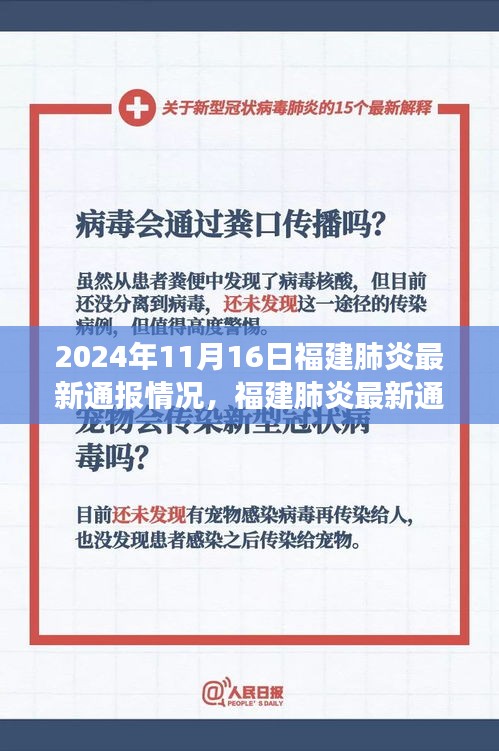 福建肺炎最新通报背后的力量与学习变化，自信闪耀的2024年11月16日回顾