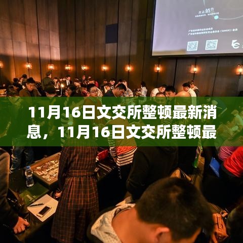 11月16日文交所整顿最新动态，适应市场变化与挑战的步骤指南（适用于初学者与进阶用户）