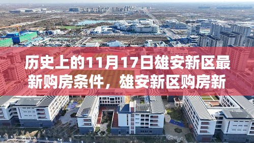 雄安新区购房新篇章，揭秘11月17日最新购房条件与家的温暖奇遇