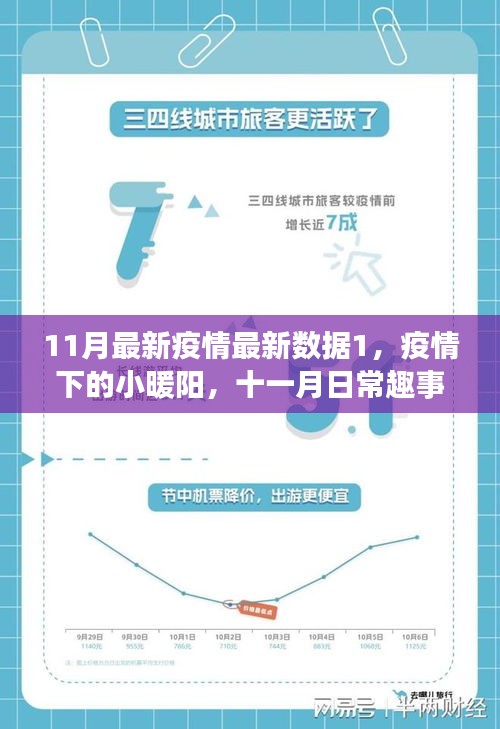 疫情下的暖阳，十一月日常趣事与温情数据背后的故事最新数据概览