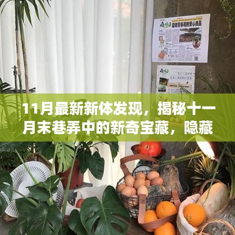 揭秘十一月末巷弄新奇宝藏，探索小巷深处的特色小店探索之旅