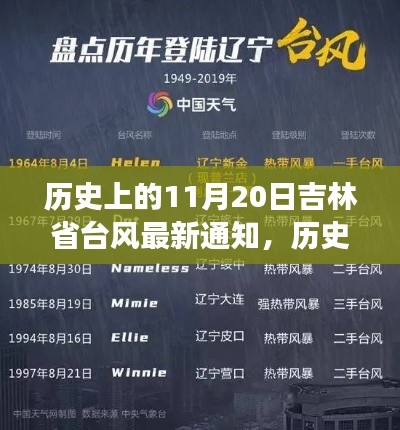 历史上的11月20日吉林省台风，逆风翻盘背后的故事与知识重塑自信之光通知