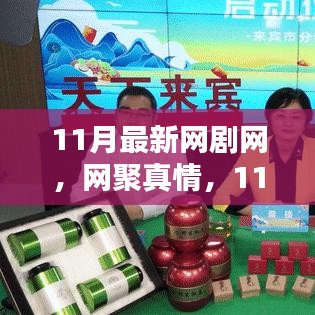 11月新剧暖心日常，网聚真情