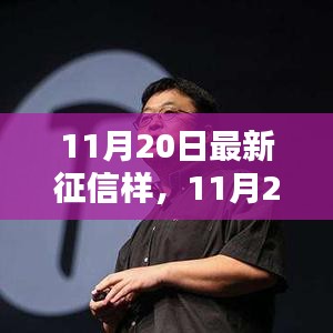 11月20日最新征信样产品全面评测介绍