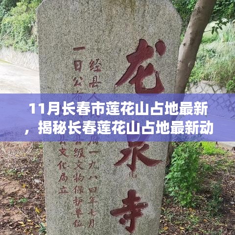 揭秘长春莲花山占地最新动态，独家报道十一月更新情况