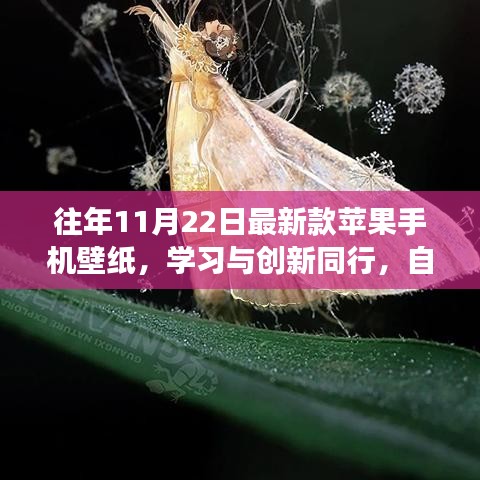 往年11月22日最新款苹果手机壁纸，学习与创新同行，自信成就梦想——最新苹果手机壁纸激励下的成长之旅