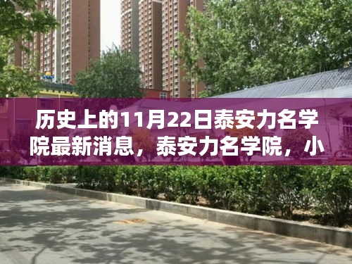 泰安力名学院，小巷深处的瑰宝——11月22日历史新篇揭秘