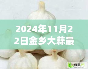 金乡大蒜故事，蒜香中的友情与家的温暖，最新价格更新（2024年11月22日）