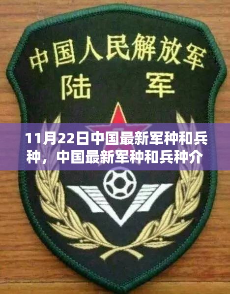 中国最新军种兵种介绍及技能学习指南（初学者与进阶用户必读）