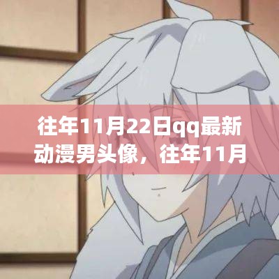 往年11月22日QQ动漫男头像精选，全面测评与介绍