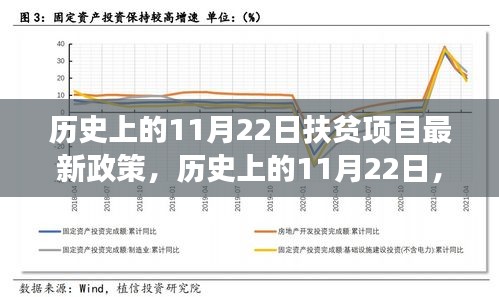 历史上的11月22日深度解读，最新扶贫项目政策解读与进展