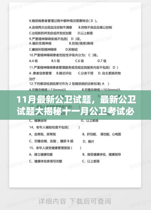 十一月公卫考试必备攻略，最新试题揭秘与备考指南