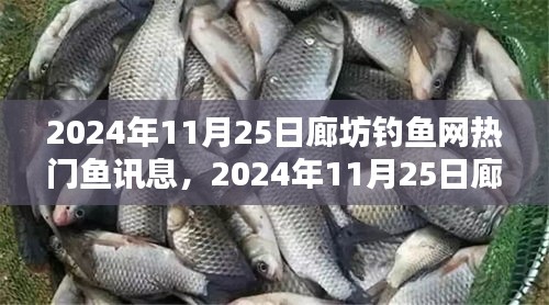 2024年廊坊钓鱼网热门鱼种全攻略，捕鱼秘籍一网打尽