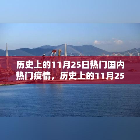 历史上的11月25日疫情深度解析与热点回顾