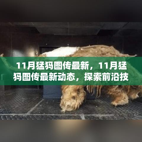 探索前沿技术，最新猛犸图传动态与传播魅力