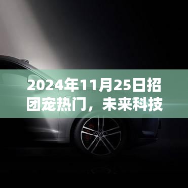 揭秘团宠热门高科技产品，未来科技盛宴在2024年11月25日开启