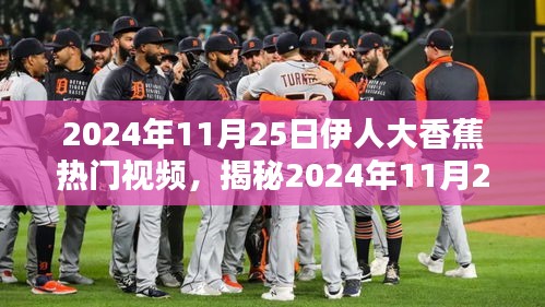 揭秘，伊人大香蕉热门视频背后的故事与要点探讨（2024年11月25日）