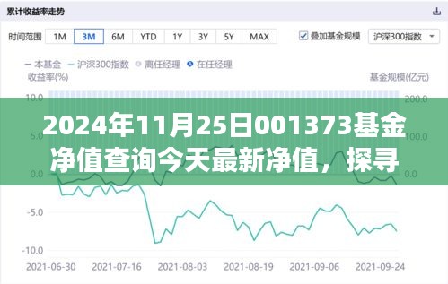 探寻自然秘境的心灵之旅，今日最新001373基金净值查询伴你前行