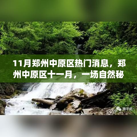 郑州中原区十一月探秘之旅，自然秘境的心灵之旅