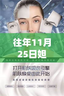 揭秘往年11月25日妲己吧的最新动态与热议焦点解析