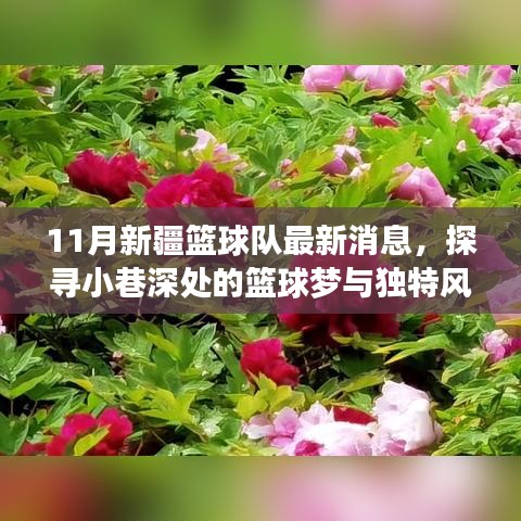 探寻新疆篮球队最新消息与小巷深处的篮球梦，一家隐藏小店的独特故事