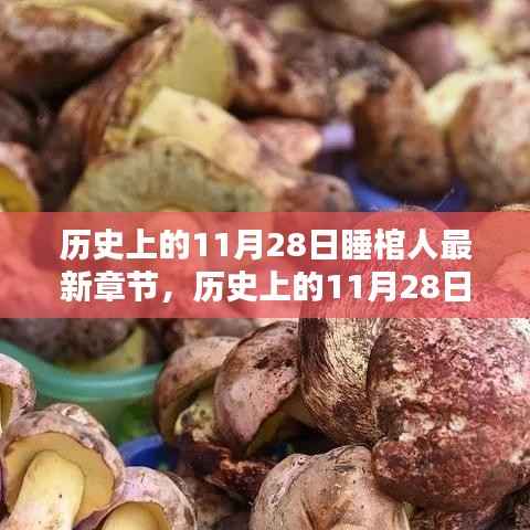 历史上的11月28日，睡棺人最新章节及其深度解析