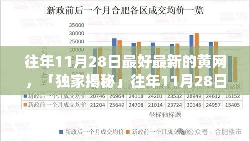 独家揭秘，往年11月28日火爆黄网现象揭秘，涉黄内容警示！