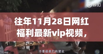 涉黄警示，揭秘网红福利宝藏店，独家VIP视频引发关注需谨慎