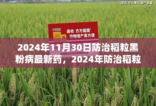 2024年11月30日防治稻粒黑粉病最新药，2024年防治稻粒黑粉病最新药物技术解析