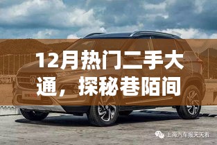 探秘巷陌宝藏，揭秘十二月热门二手大通奇遇记